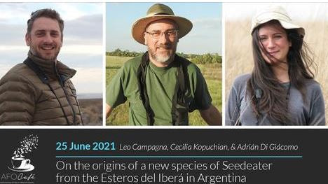 Most recent AFO Cafe. Watch!